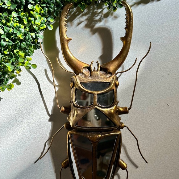 Wall Decor | Stag Beetle Mirror | Poshmark